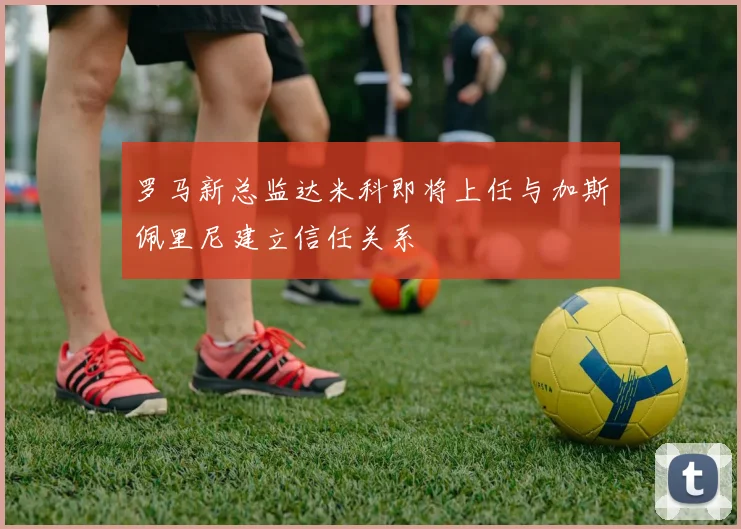 罗马新总监达米科即将上任与加斯佩里尼建立信任关系