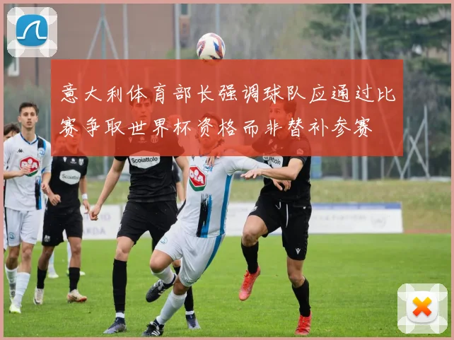 意大利体育部长强调球队应通过比赛争取世界杯资格而非替补参赛